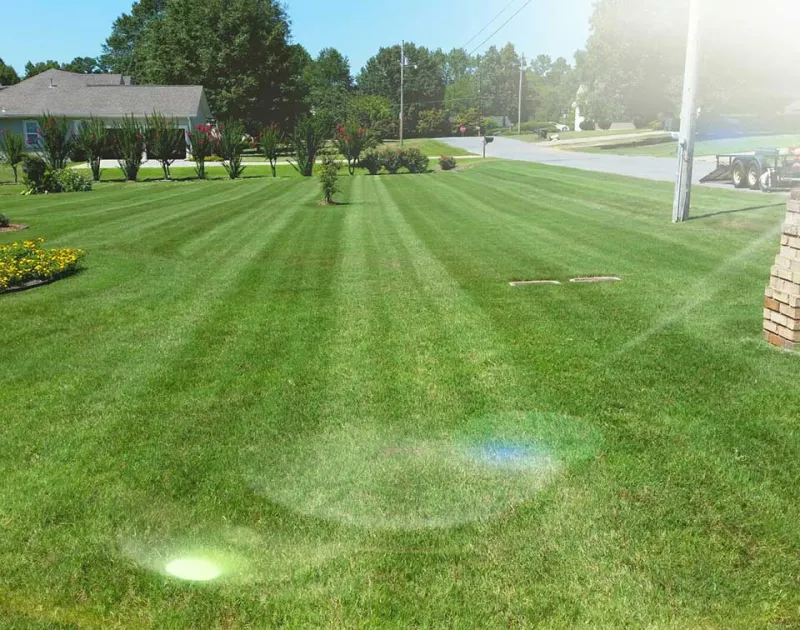 Landscaping Company